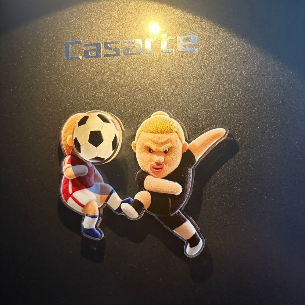Funny Haaland Rotatable Fridge - Acrylic Cosplay Prop 评论和价格